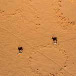 Safari - Sossusvlei Desert Lodge - &Beyond
