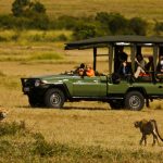 Safari - Mara Expedition Camp - Great Plains Conservation