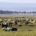 Safari - Mara Expedition Camp - Great Plains Conservation