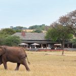 Lodge - Serengeti House - Singita