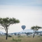 Hot air balloon - Serengeti - Singita