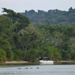 Bootsafari met nijlpaarden - Rubondo Island Camp - Asilia Camps & Lodges