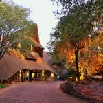 Entree - Victoria Falls Safari Lodge