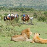 Leeuwen tijdens paardrijden - Offbeat Mara Camp