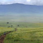 Ngorongoro Crater - The Highlands - Asilia Camps & Lodges