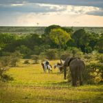 Paardrij safari - Offbeat Mara Camp