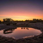 Safari - Tuskers Bush Camp