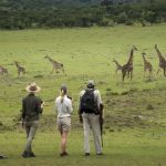 Walking Safari - Jongomero Camp - AndBeyond