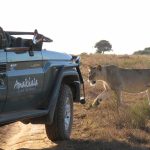 Jeep-safari - Amakhala Woodbury Lodge