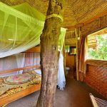 Kamer Tree House - Primate Lodge Kibale