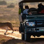Safari in jeep - Amakhala Woodbury Lodge