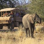 Safari in open voertuigen - Twyfelfontein Country Lodge