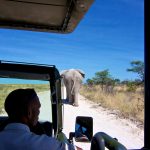 Safari in voertuigen - Mokitu Etosha Park