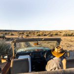 Safari met open voertuigen - Canyon Village