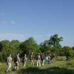 Wandel Safari met Rangers - Sabi Sabi Bush Lodge