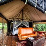 Tent in bush - Honeyguide Khoka Moya