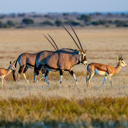 Botswana